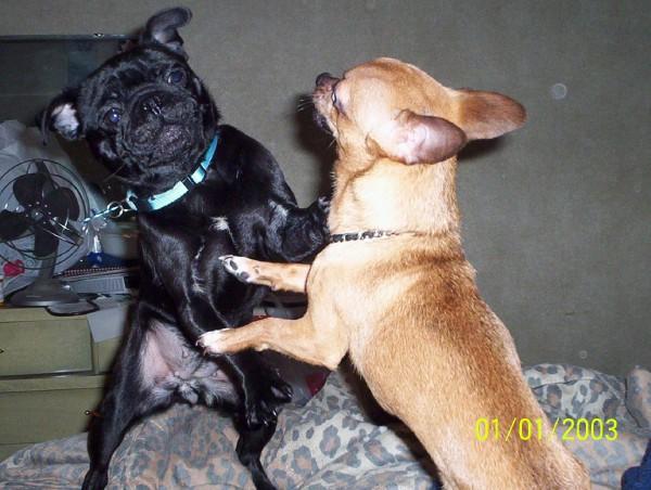 Click here to show another one