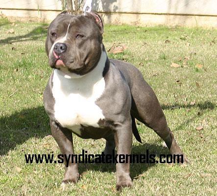 Click here to show another one