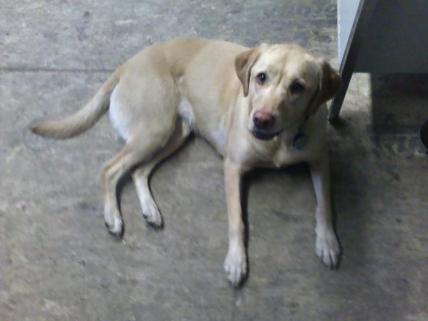 Click here to show another one