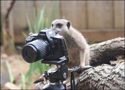 Click here to show another one