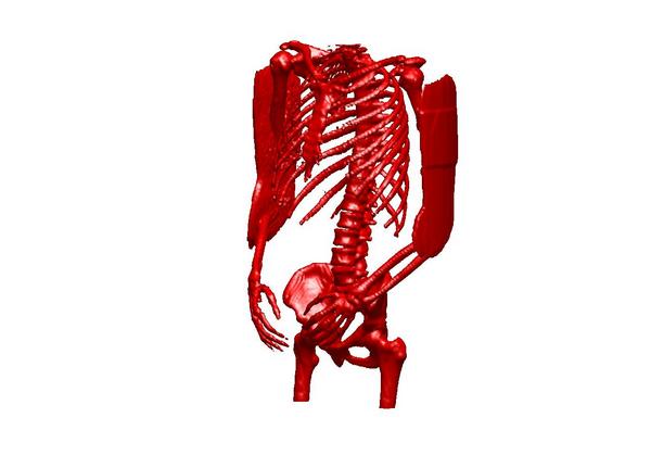 Click here to show another one