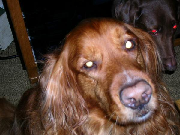 Click here to show another one