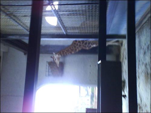 Click here to show another one