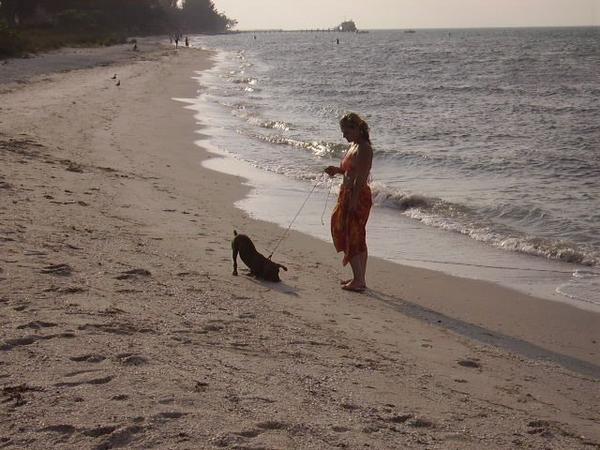 Click here to show another one