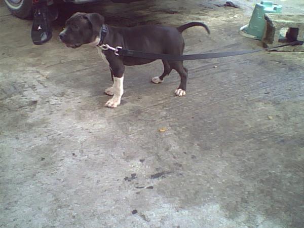 Click here to show another one