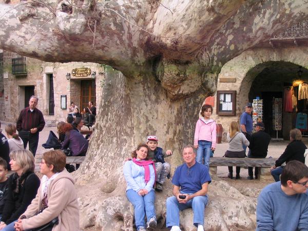 Click here to show another one