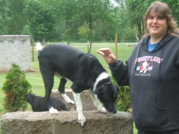 Click here to show another one