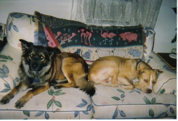 Click here to show another one