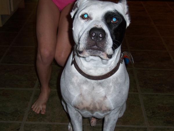 Click here to show another one