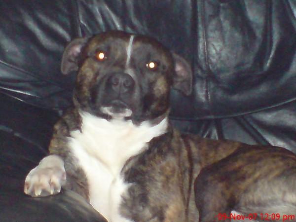 Click here to show another one