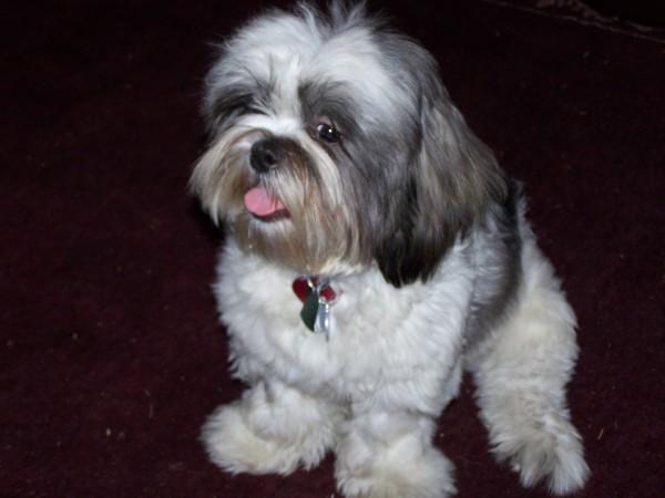 Click here to show another one