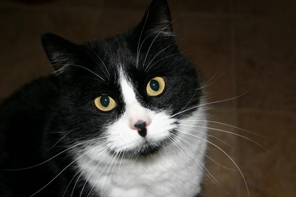 Click here to show another one