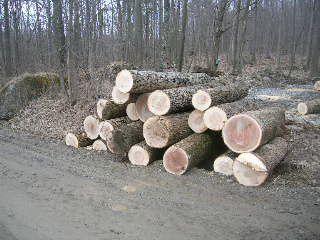 Click here to show another one