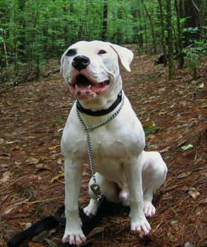 Click here to show another one